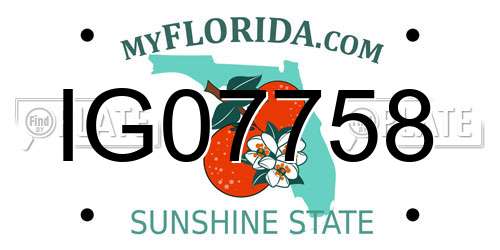 IG07758 Florida License Plate