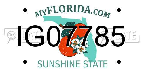 IG07785 Florida License Plate