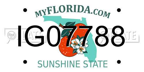 IG07788 Florida License Plate