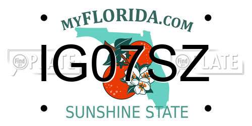 IG07SZ Florida License Plate