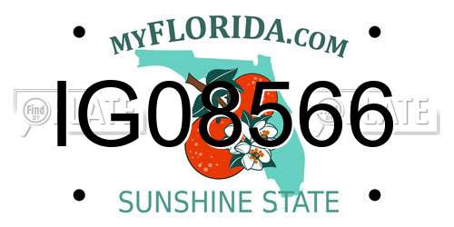 IG08566 Florida License Plate