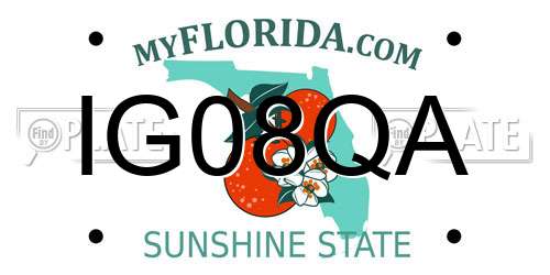 IG08QA Florida License Plate