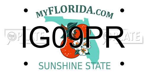 IG09PR Florida License Plate