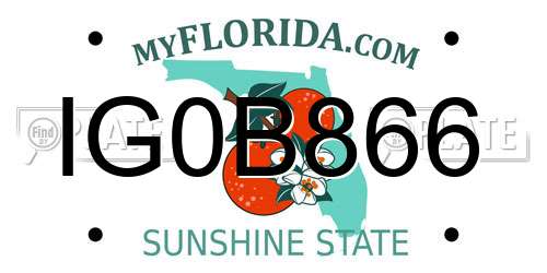 IG0B866 Florida License Plate