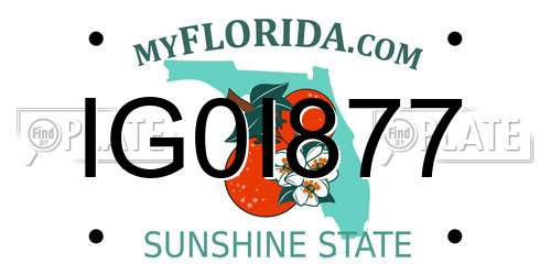 IG0I877 Florida License Plate