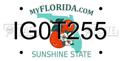 IG0T255 Florida License Plate