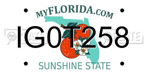 IG0T258 Florida License Plate