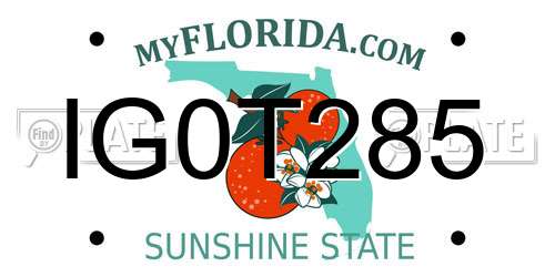 IG0T285 Florida License Plate