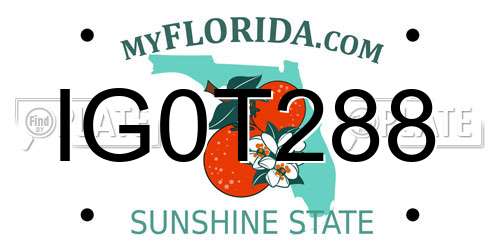 IG0T288 Florida License Plate