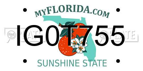 IG0T755 Florida License Plate