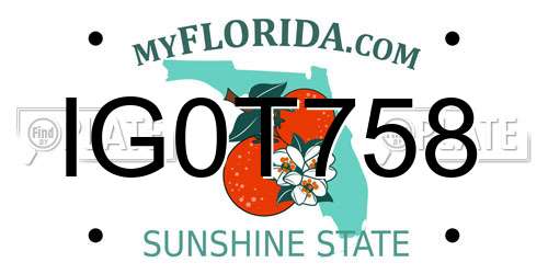 IG0T758 Florida License Plate