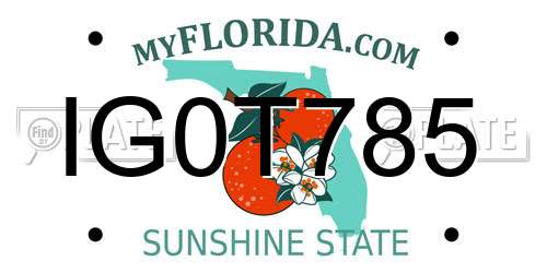 IG0T785 Florida License Plate