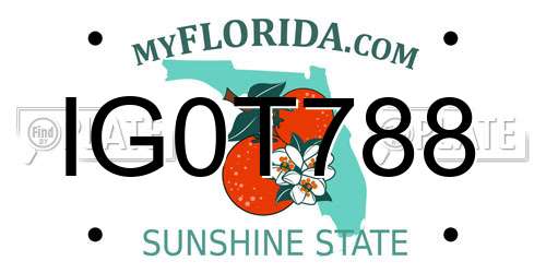 IG0T788 Florida License Plate