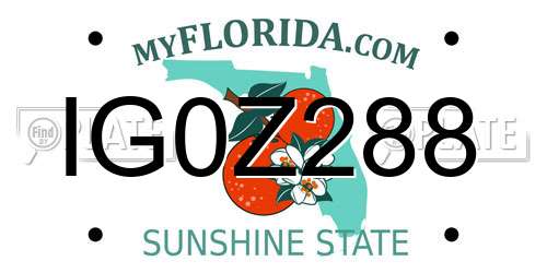 IG0Z288 Florida License Plate