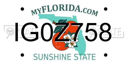 IG0Z758 Florida License Plate