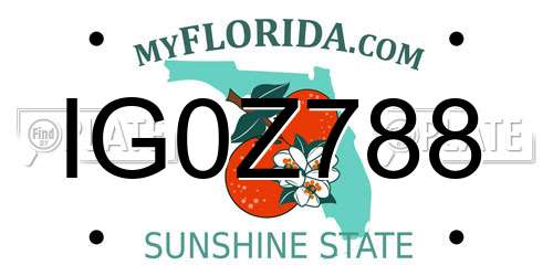 IG0Z788 Florida License Plate