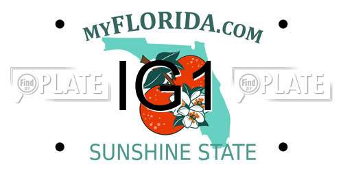 IG1 Florida License Plate