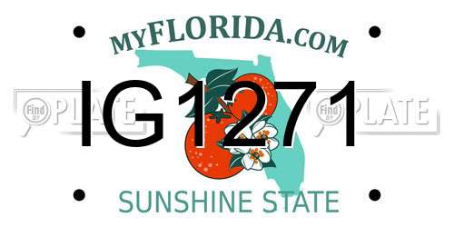 IG1271 Florida License Plate