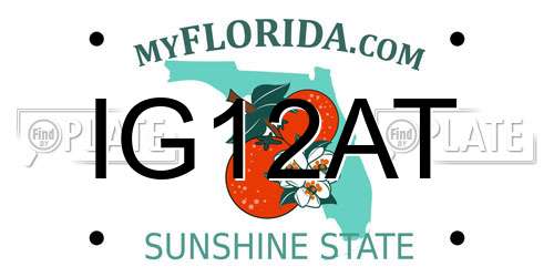 IG12AT Florida License Plate