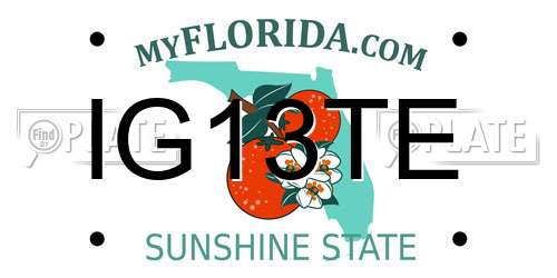 IG13TE Florida License Plate