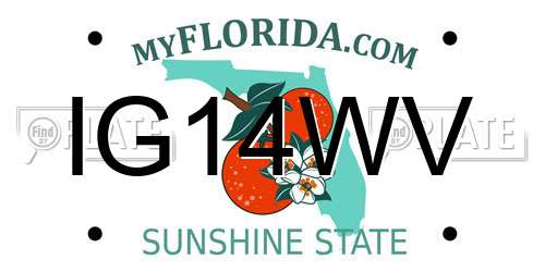 IG14WV Florida License Plate