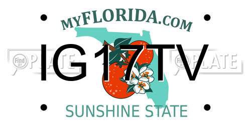IG17TV Florida License Plate