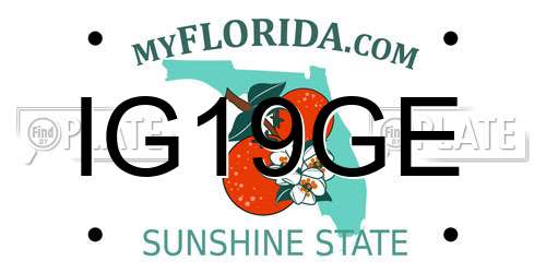 IG19GE Florida License Plate