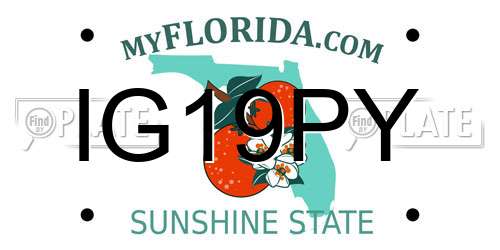 IG19PY Florida License Plate