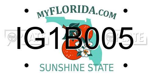 IG1B005 Florida License Plate