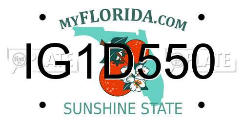 IG1D550 Florida License Plate