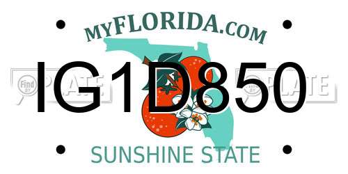 IG1D850 Florida License Plate