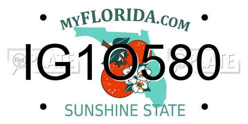 IG1O580 Florida License Plate