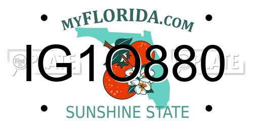 IG1O880 Florida License Plate