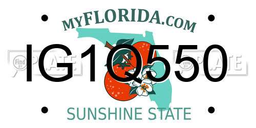 IG1Q550 Florida License Plate