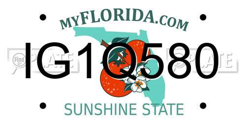 IG1Q580 Florida License Plate