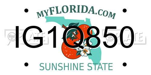IG1Q850 Florida License Plate