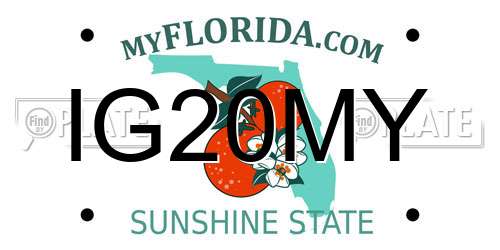 IG20MY Florida License Plate