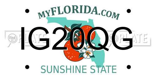IG20QG Florida License Plate