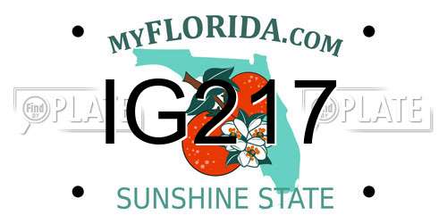 IG217 Florida License Plate