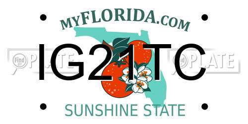 IG21TC Florida License Plate
