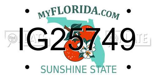 IG25749 Florida License Plate