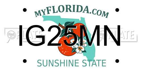 IG25MN Florida License Plate