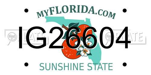IG26604 Florida License Plate