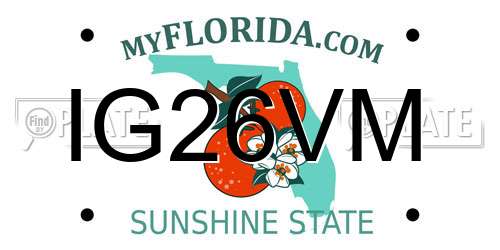 IG26VM Florida License Plate
