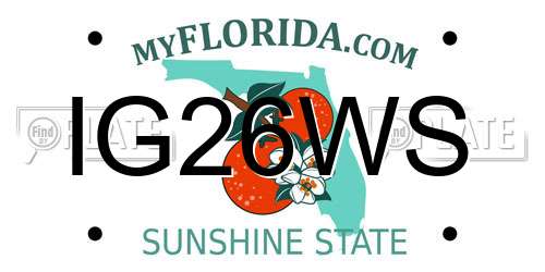 IG26WS Florida License Plate