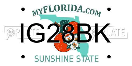 IG28BK Florida License Plate