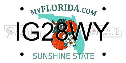IG28WY Florida License Plate