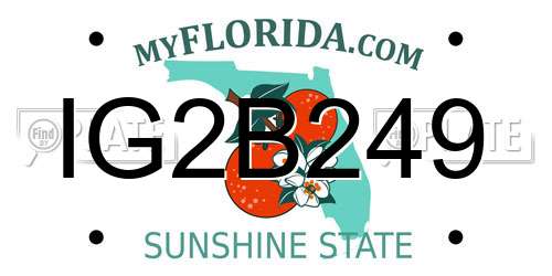 IG2B249 Florida License Plate