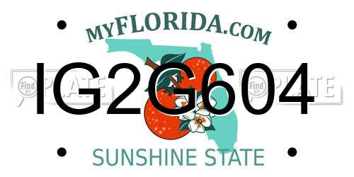 IG2G604 Florida License Plate