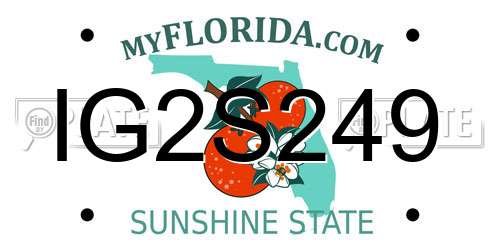 IG2S249 Florida License Plate